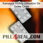 Kamagra 100Mg Utilisation De Gelée Orale 17